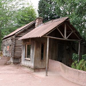 Planckendael - Oceania (Wombat/echidna)