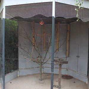Planckendael - Oceania (Finch aviary)