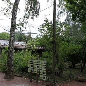 Planckendael - Oceania (Wetlands aviary)
