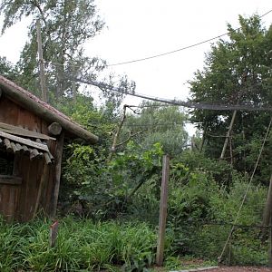 Planckendael - Oceania (Wetlands aviary)
