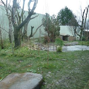 Panda Preview-outside