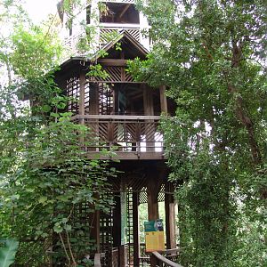 Visitor's tower in front of the Harpy Eagle's (Harpia harpyja) exhibit