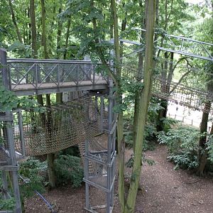 Planckendael - Tree Top Walk
