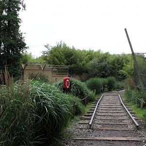 Planckendael - Asia (Gir Forest trail)