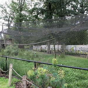 Planckendael - Asia (Gir Forest aviary)