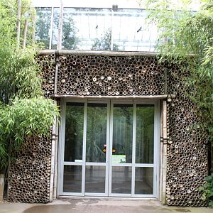 Planckendael - Asian Tropical House