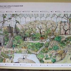 Planckendael - Asian Tropical House