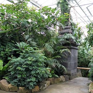 Planckendael - Asian Tropical House