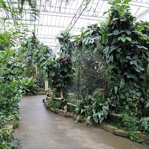 Planckendael - Asian Tropical House