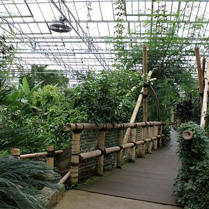 Planckendael - Asian Tropical House