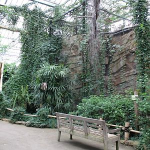 Planckendael - Asian Tropical House (Hornbill aviary)