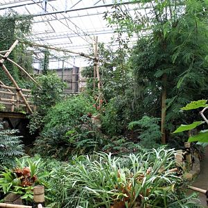 Planckendael - Asian Tropical House