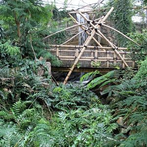 Planckendael - Asian Tropical House