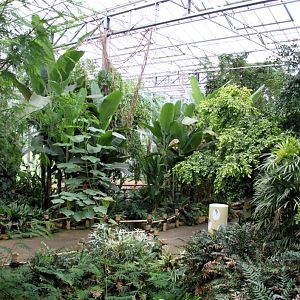 Planckendael - Asian Tropical House