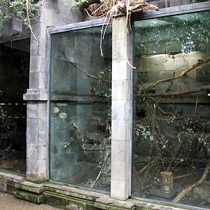Planckendael - Asian Tropical House (Mammal exhibits)