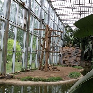 Planckendael - Asian Tropical House (Gibbon Island)