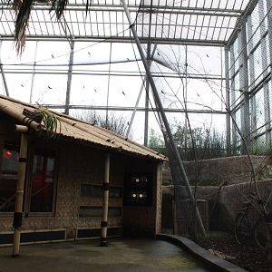 Planckendael - Asian Tropical House (Village)