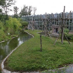 Planckendael - Asia (Gibbon Island)