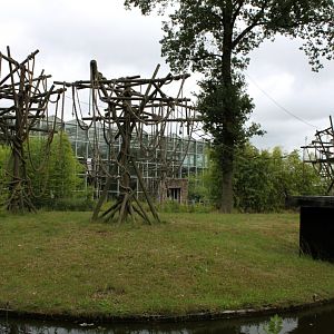 Planckendael - Asia (Gibbon Island)