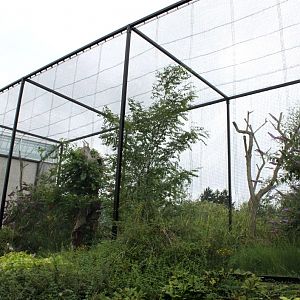 Planckendael - Asia (Pheasant aviary)