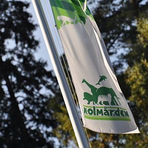 Kolmården - flag