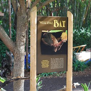 12/15/11 - Bats Signage