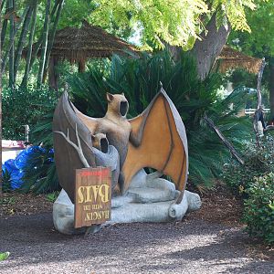 12/15/11 - Bats Photo Op