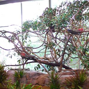 12/15/11 - Bats Indoor