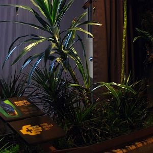 12/15/11 - Bats Indoor