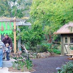 12/15/11 - Bats Outdoor