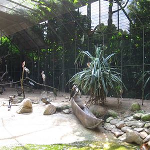 Shorebirds Aviary