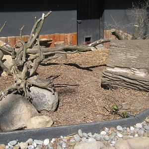 Guldborgsund Zoo - small-clawed otter exhibit