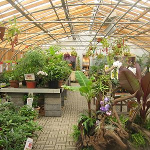 Guldborgsund Zoo - greenhouse