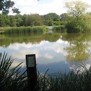 Guldborgsund Zoo - lake