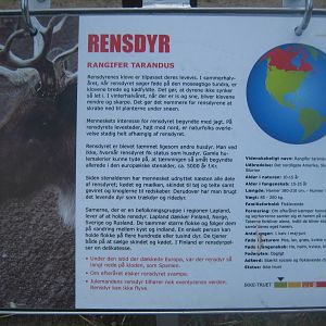 Guldborgsund Zoo - signage example for reindeer