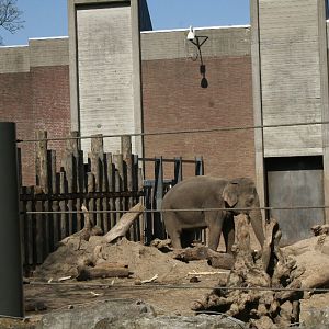 Asian_elephants_enclosure2