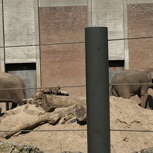 Asian_elephants_enclosure4