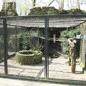 bird_enclosure3