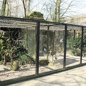 bird_enclosure1