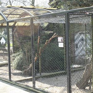 bird_enclosure2