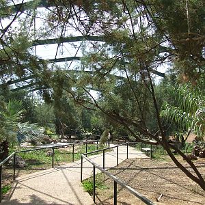 Birds of Africa Aviary