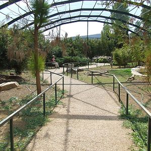 Birds of Africa Aviary