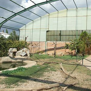 Birds of Africa Aviary