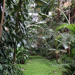 ZOO Antwerpen - Winter Garden