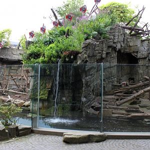 ZOO Antwerpen - Monkey exhibits