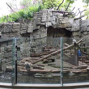 ZOO Antwerpen - Baboon exhibit