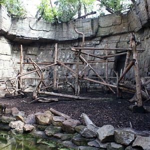 ZOO Antwerpen - Mandrill exhibit