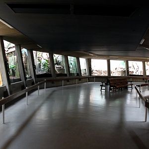 ZOO Antwerpen - Monkey House