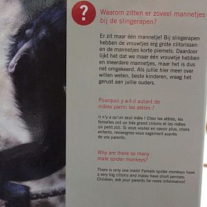 ZOO Antwerpen - Best zoo sign ever?