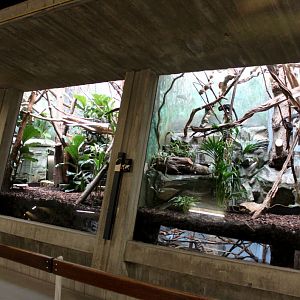 ZOO Antwerpen - Monkey House (Tamarin/sloth)